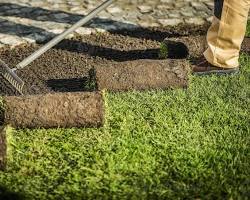 Professional sod installation process
